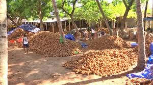 The Matel International - WhatsApp Image 2025-09-29 at 10.23.50 AM (1)